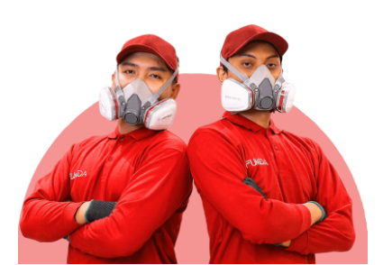 Pentingnya Menggunakan Jasa Pembasmi Hama Profesional untuk Lingkungan Sehat